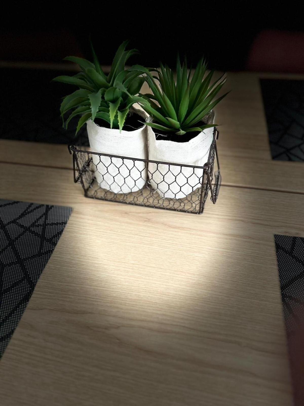 Le Balcon Fleuri - Apartment
